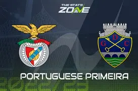 葡超赛程吃紧，本菲卡今晨扳平良机，态度坚定，高层口径保持一致